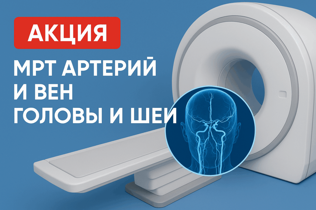 МРТ артерий и вен головы и шеи